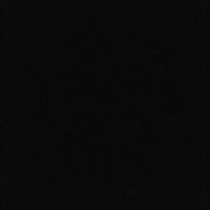 Meet your Posher, Wyatt